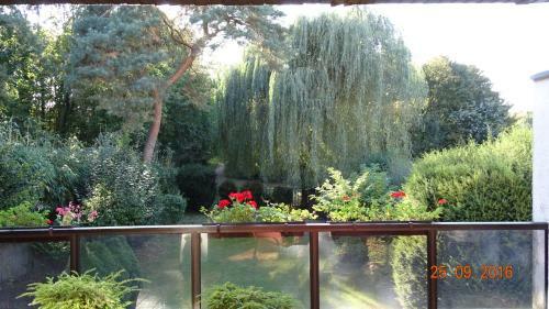 Hostal Hotel Garni Helga Hein