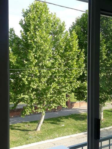 Pampa Modern Apartment