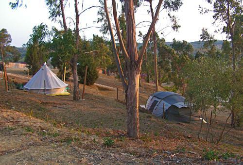 Agroturismo Herdade Da Hera