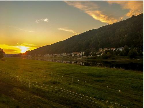 Apartamento Ferienhaus Elbufer 83