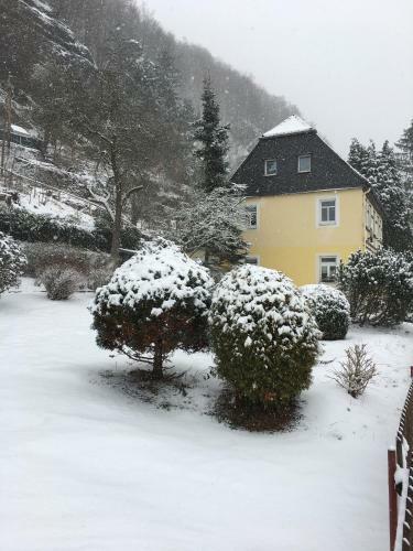 Apartamento Ferienhaus Elbufer 83
