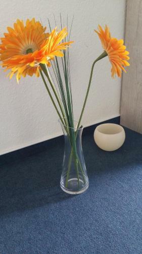 Apartamento Da Ferienwohnungen