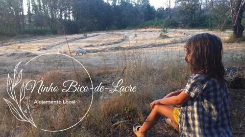 Ninho Bico-de-lacre ~ O Para�so � A/na Terra