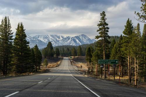 Viewpoint #131