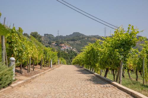 Quinta Da Granja