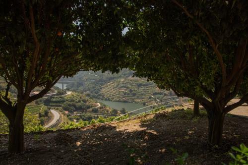 Quinta Da Granja