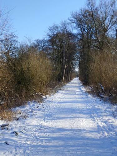 Apartamento Gut Hohenstein - Platanenappartment