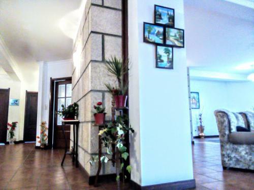 Bed & Breakfast Casa Vale Do Rio Ovil