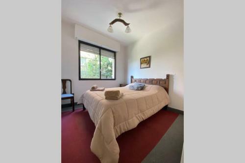 Apartamento Departamento C�ntrico A Metros de Plaza Belgrano