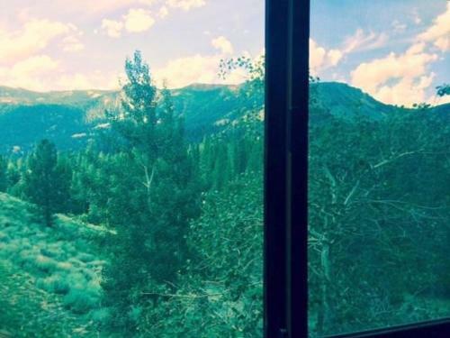 Aspen Creek #123