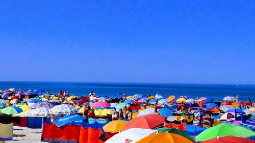 Apartamento Casa Farol Da Praia