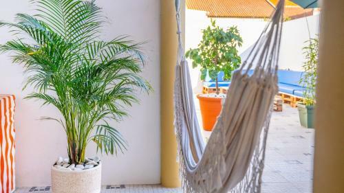 Hostal Perfect Shore Guest House