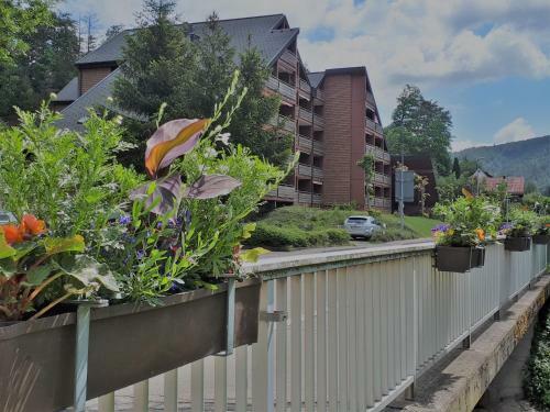 Apartamento Haus Schwarzwaldgrund