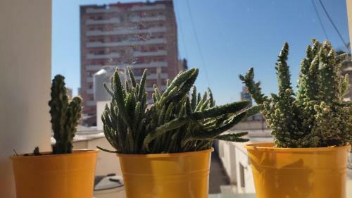 Apartamento Boho Jujuy