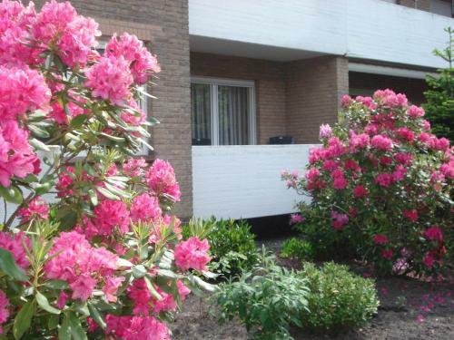 Apartamento Ferienwohnung-hoeflich-baeke