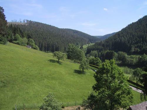 Apartamentos Ferienwohnung Kaufmann