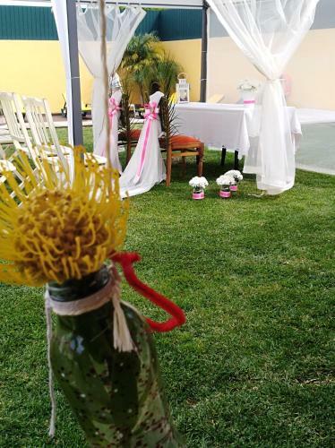 Hostal Quinta Salinas - Puro Prazer