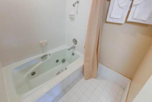 Aspen Creek #204
