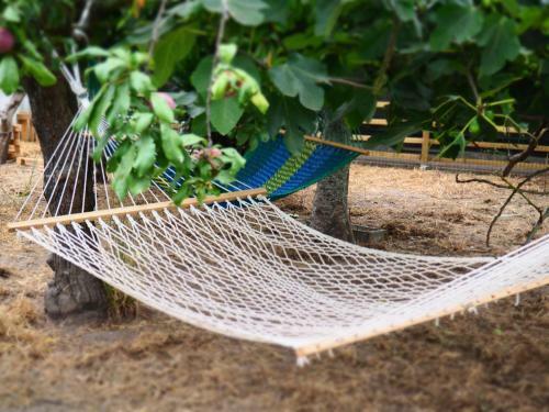 Swara Slow Living Home