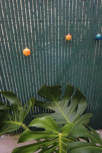 Apartamento Com Patio