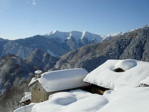 Hostal Walser House