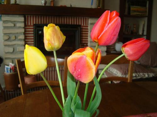 Bed & Breakfast La Maison Claire