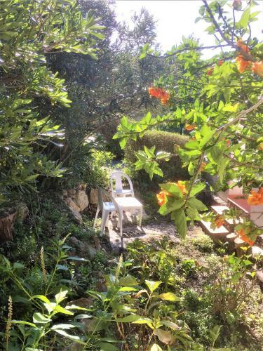 Casa Dos Pintos, Golf E Natureza