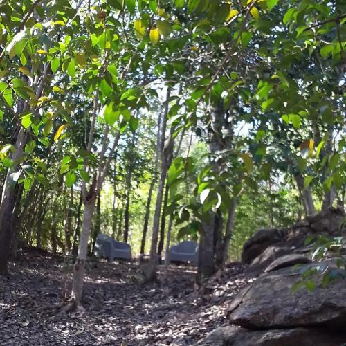 Torito's House
