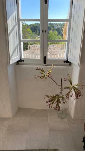 Casa Sereno