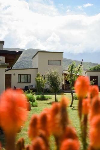 Apartamento Entre Monta�as