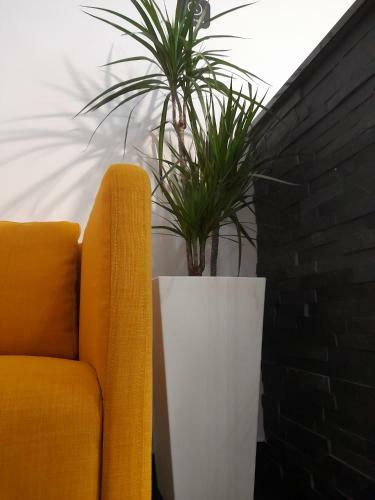 Hotel Altitude Alojamento E Restaura��o