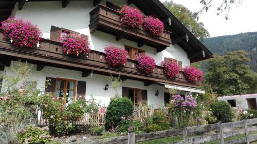 Hostal Pension M�hlbauer