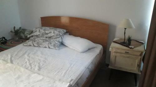 Apartamento Lauquen II