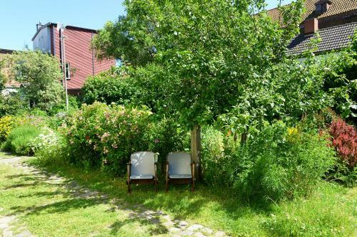 Apartamento Das Alte Kino In Barth - Die Ferienwohnung