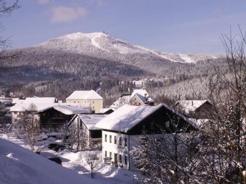 Hostal Pension Wiesenau