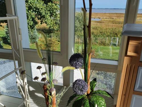 Ferienhaus Grabowblick