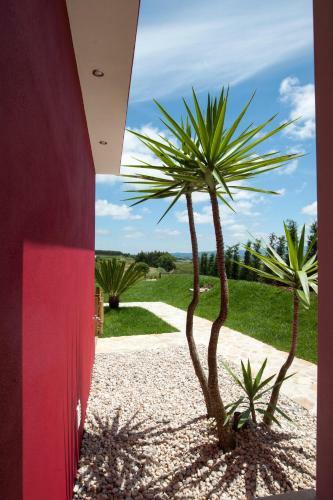 Apartamento Quinta Roninho