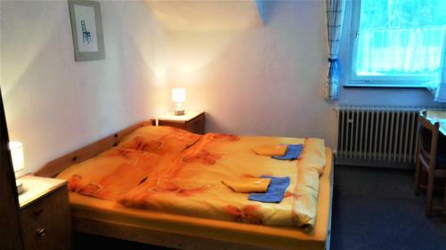 Hostal Penzion Sumavacek