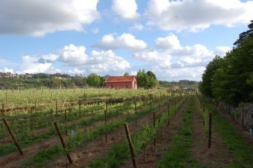 Agroturismo Casa De Cabanelas