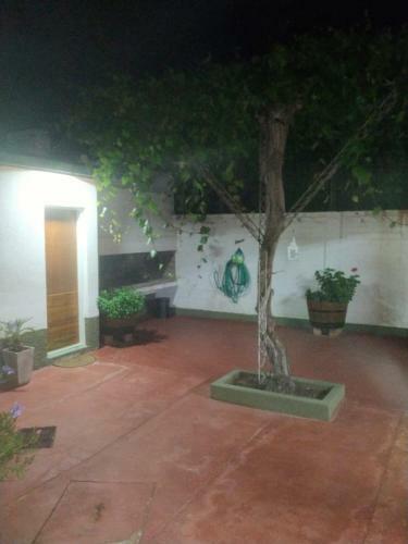 Mi Casa Aparts