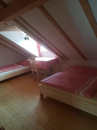 Magic House Under Arber