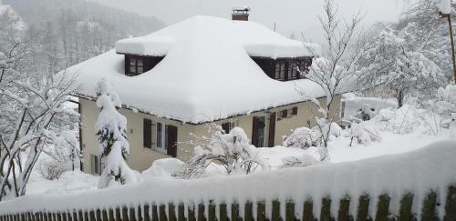 Magic House Under Arber