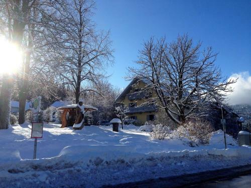 Apartamentos Maier Chalet