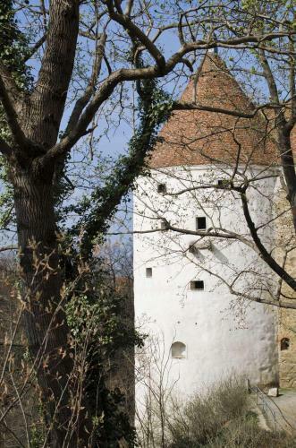 Apartamento Pension Horn Bautzen