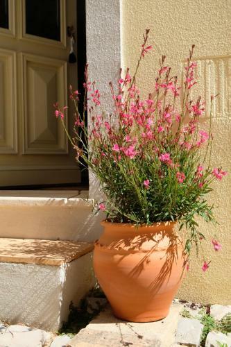 Apartamento Yellow House - Checkinhome
