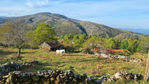 Agroturismo Cardenha Da Bessada