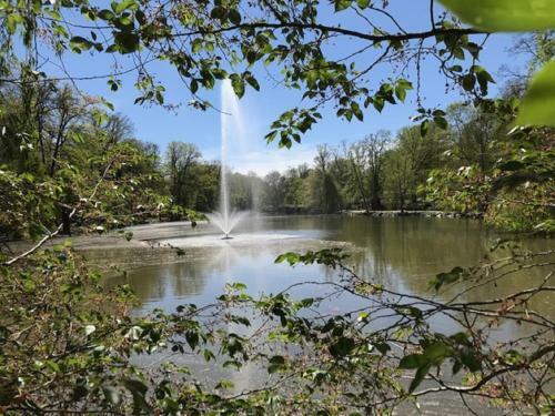 Ferienhaus Am Park Am R�hrensee