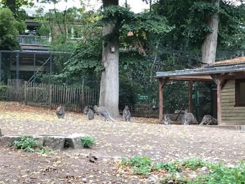 Ferienhaus Am Park Am R�hrensee