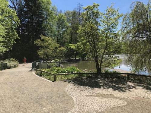 Ferienhaus Am Park Am R�hrensee