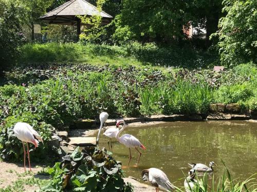 Ferienhaus Am Park Am R�hrensee